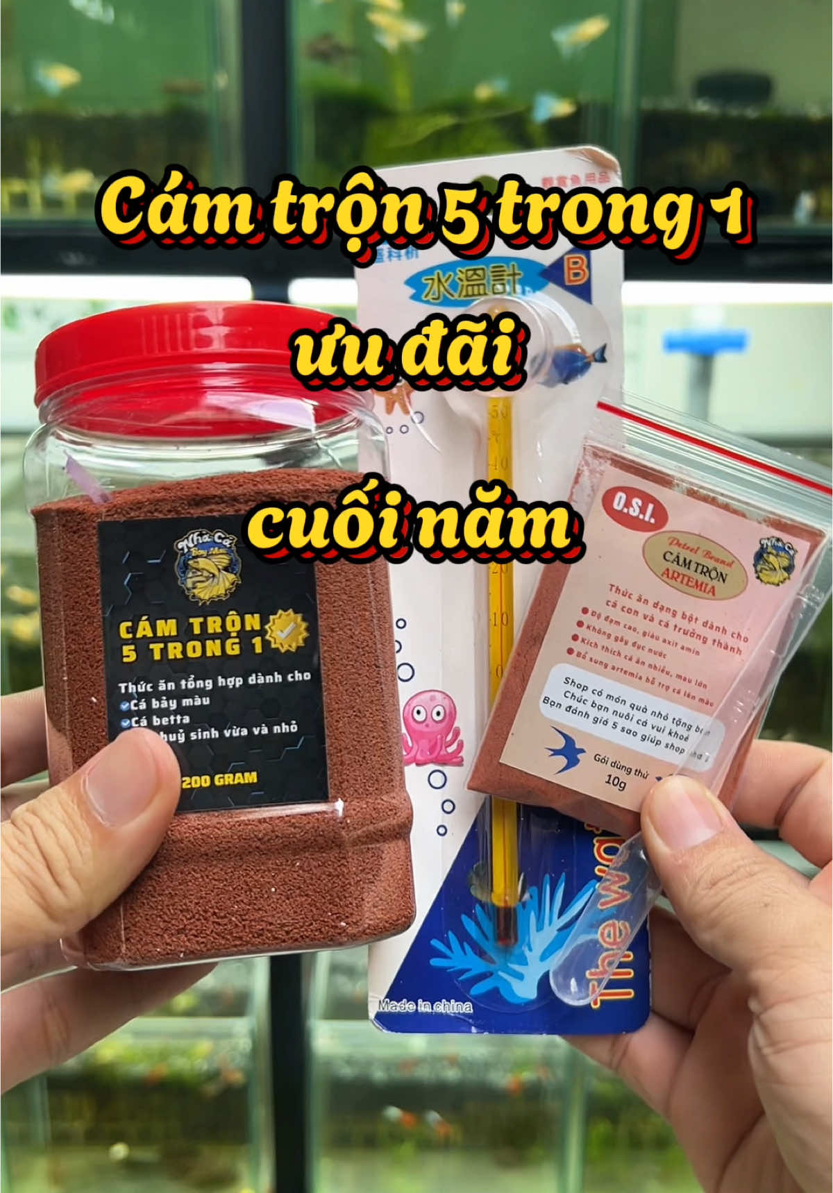 Mua 1 được 4 khi lên đơn cám trộn 5 trong 1 dịp cuối năm #fyp #guppy #cabaymau #ca7mau #nhacabaymau #camtron 