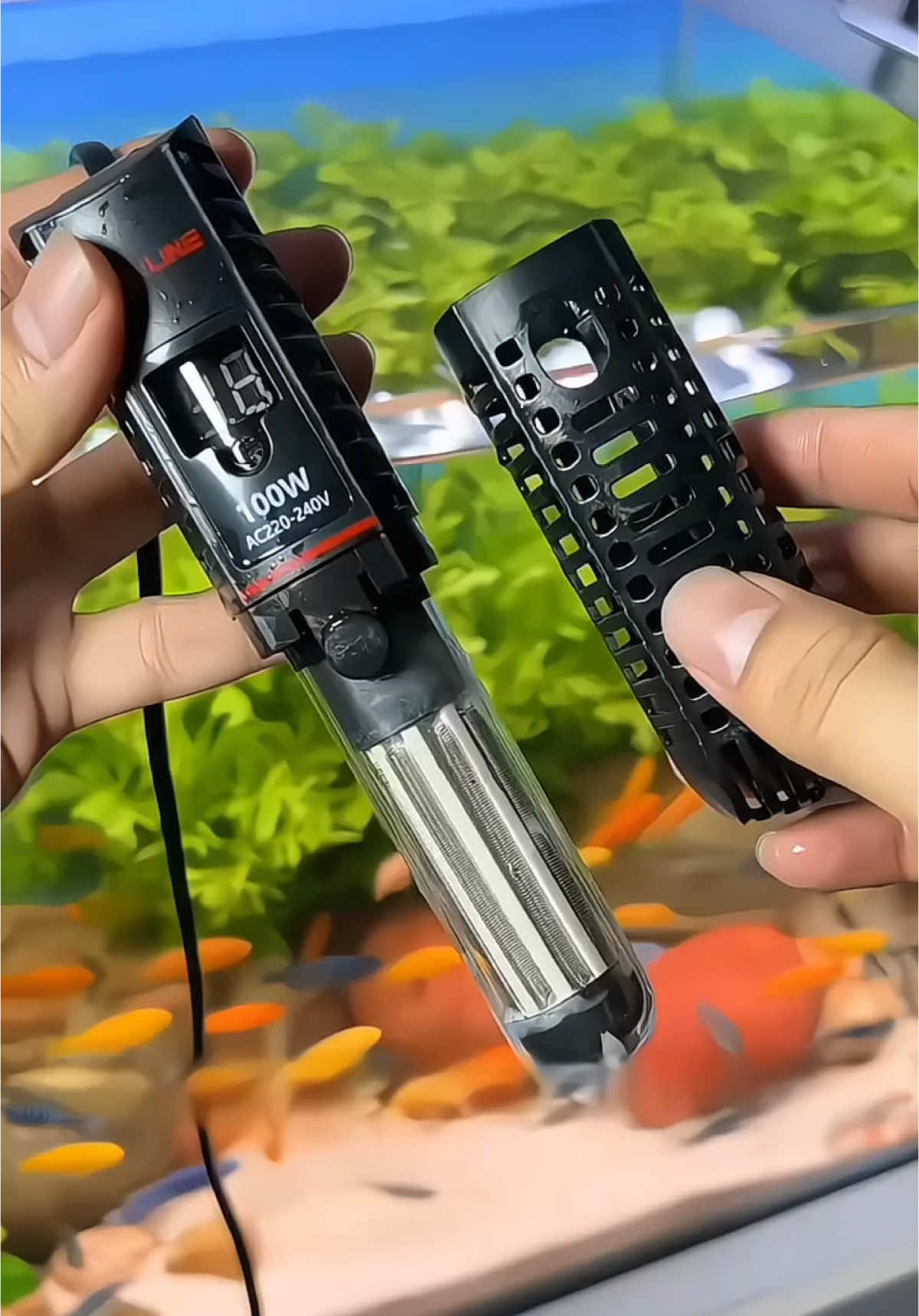 Sưởi Sunsun cao cấp (Tự ngắt ) #suoibeca #suoihoca #sunsun #cacanh #cabaymau 