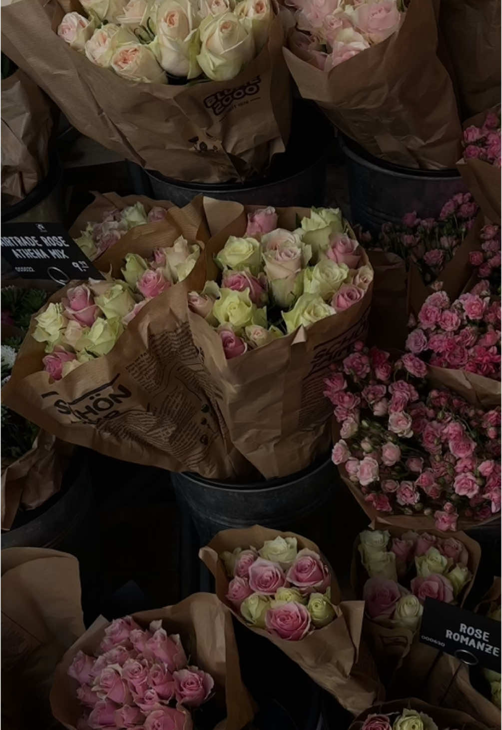 🧚🏻‍♀️💕                                                            #fyp #flowers #foryoupage  #capcut #🌸 #🌟 