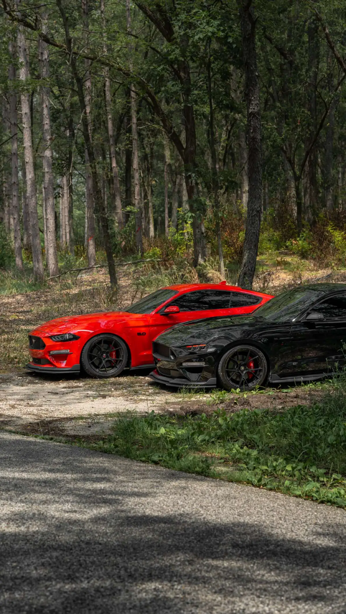 #mustanggt #fyp #carpeople #v8power #virallilll #mustang #v8 #quotes #cars #cartok #fy #10speedmustang #viral #virall #mustanggt350 #paratiiiiiiiiiiiiiiiiiiiiiiiiiiiiiii 