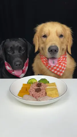 My Brother Golden Got Caught In The Rain Today. Labrador and Golden. Cute Pet Debut Plan #dog #eating #asmr #Foodie #labrador #goldenretriever #mukbang #kikiandbonbon