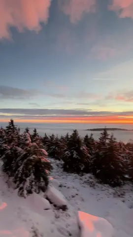 #harzerschmalspurbahn #brockenbahn #brocken #harz #wernigerode #ausliebezumberuf #zugführer #zugbegleiter #sunrise #abendrot #dampfzug #steamtrain #harzmountains #train #beatifulview @Harzer Schmalspurbahnen 