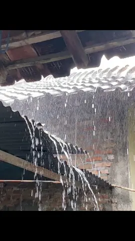 Tiwas tak perjuangke renerono ternyata dudu aku sek mbk pilih