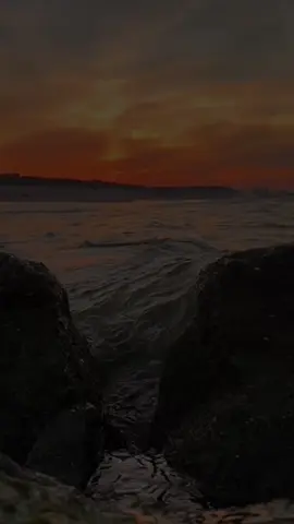 فشكراً للمواقف التي تكشف لنا حقيقة البشر