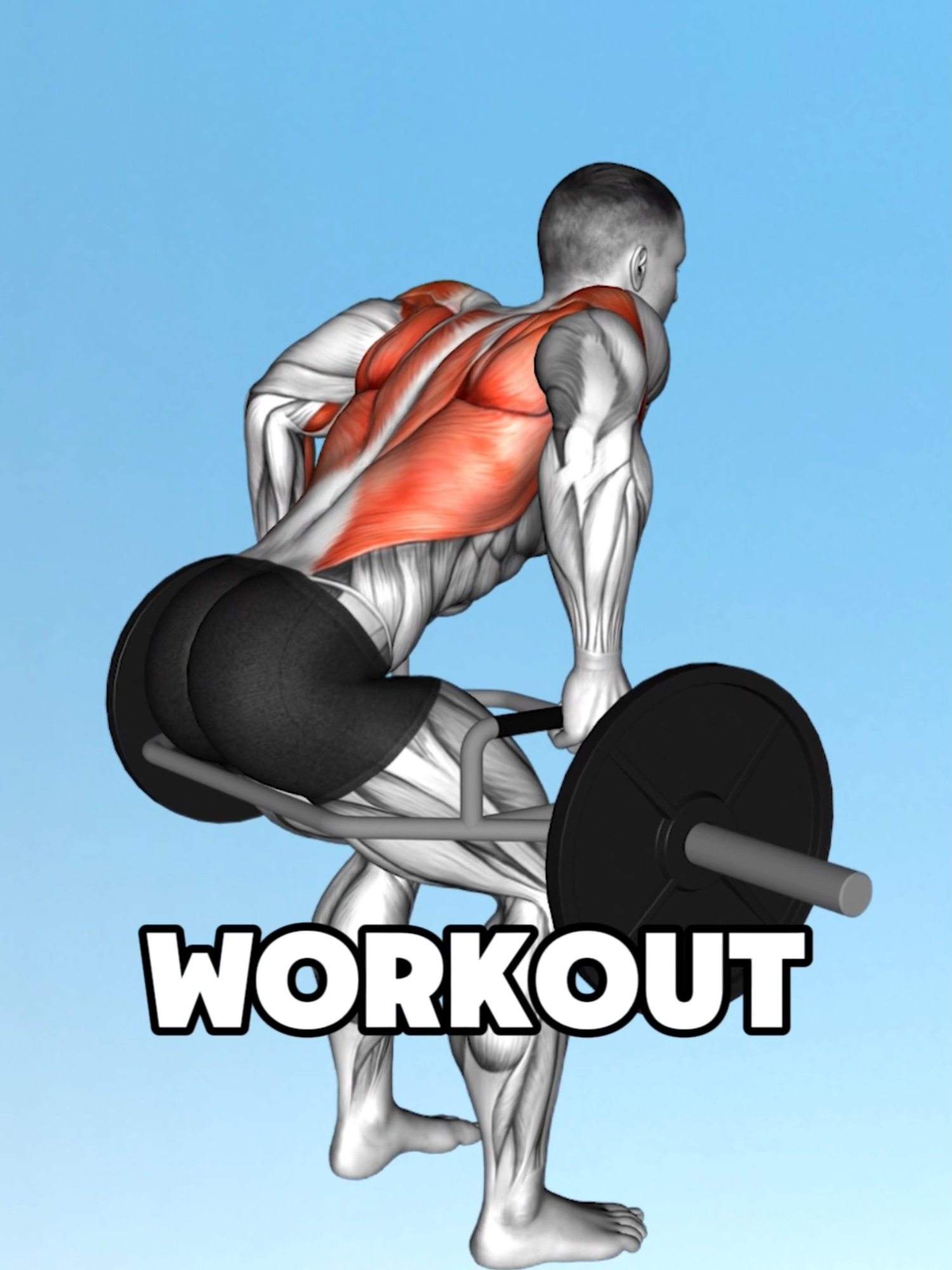 🔹 Trap-Bar Exercise Variation 💪