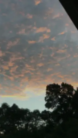 🤍#nadun_quotes_ #statusvideo #fypシ゚viral #viral #fyp 