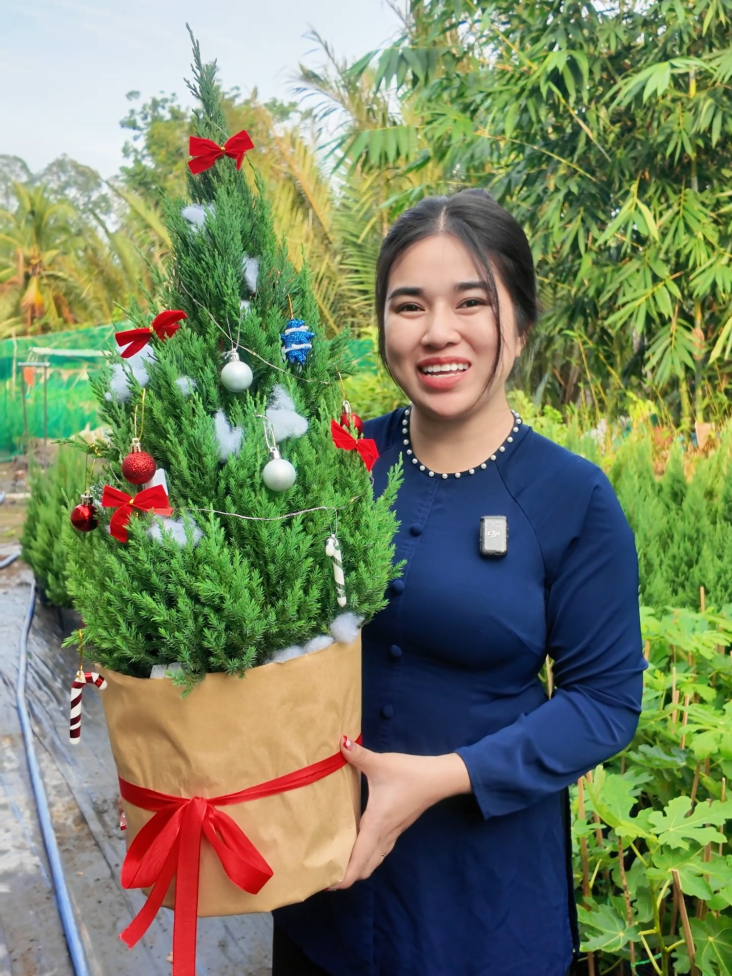 Em Linh chia sẻ cách đóng hàng cây Sơn Tùng cho cả nhà mình an tâm hơn khi nhận hàng nha. #huyenlinhgarden #vuacaygionghuyenlinh #xmas #christmas #noel