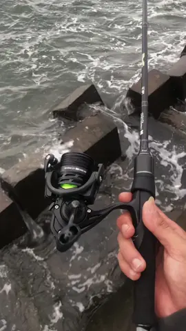 Yang hitam hitam saja lekk🖤 #fyp #foryou #mancingmania #mancing #tridentech #daiwa #daiwareels #daiwa refros lt 