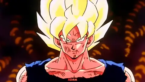 THE HOPE OF THE UNIVERSE 🔥 Credit to my friend :@J.I.G.G.A  #songoku #goku #gokuedit  #supersayayin #ssj3 #ssjgod #muigoku #dragonball #anime #animeedit #animetiktok #fyp @Rj Pasin 