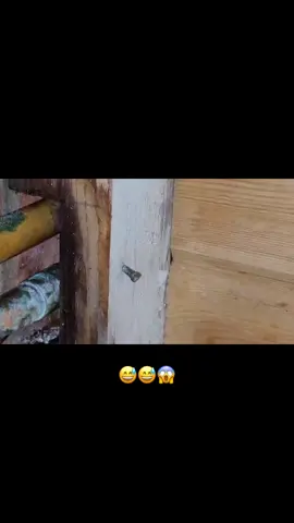 One rusty nail in the pipe 👍🏻 #leak #uk #leaks #leakdetection #plumber #plumbing #plumbinglife #lds #leaking 