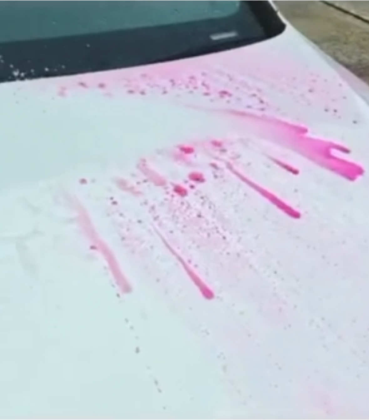 Alien Magic E.T Ceramic Wax #alienmagiccarcare #detailing #detailingcars #carvaleting #carcare #autodetailer #detailinglife #alienmagicarmy #satisfyingvideo #viral_video #viralvideos #viralditiktok #gloss #carwax #ceramicwax 