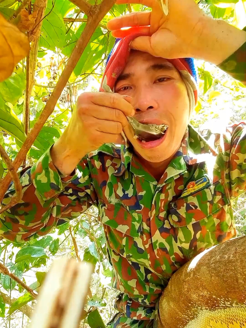 Những Tảng Mật Ong Khoái #matong #vanket 