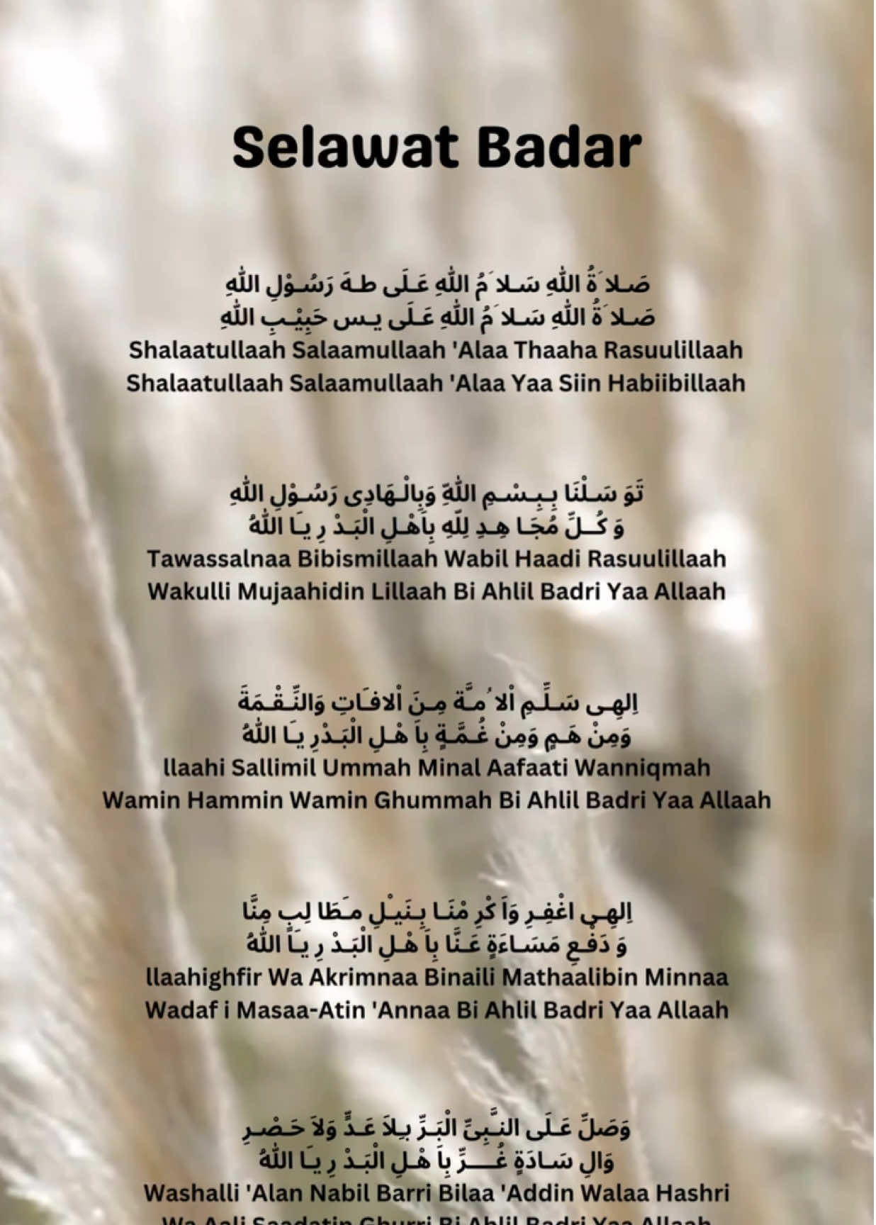 Selawat Badar  #selawatbadar #selawatnabi #selawat #selawatkeatasnabisaw #nabimuhammad #sholawat #sholawatan_yuk #sholawatnabi #fyp #liriksholawat 