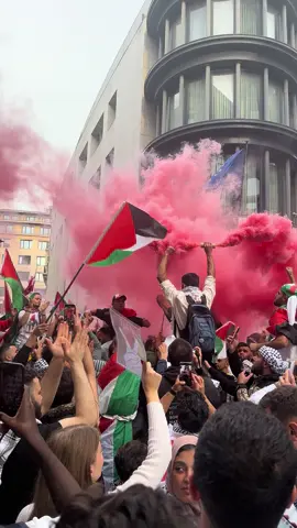 🍉❤️🇵🇸