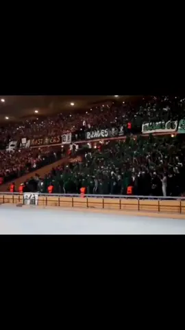 Curva sud , mon amour in marakech 📢📢📢                                                  #greenboys #greenboys2005 #ultraseagles #greenboys #eaglesacademy🦅 #rajacasablanca🇲🇦🇩🇿 #حب_وعقلية💚❤ #الجماهير_المغربية🇲🇦 #rajacasablanca💚 #rajaclubathletic #rajaclubathleticofficiel #marakech_maroc_tiktok #tik_tok #مراكش #مراكش_الحمراء_الرباط_طنجة_مكناس #الدار_البيضاء 