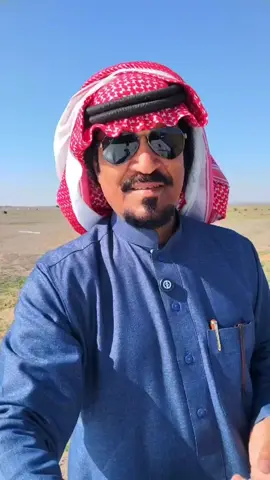 جبل طمية #