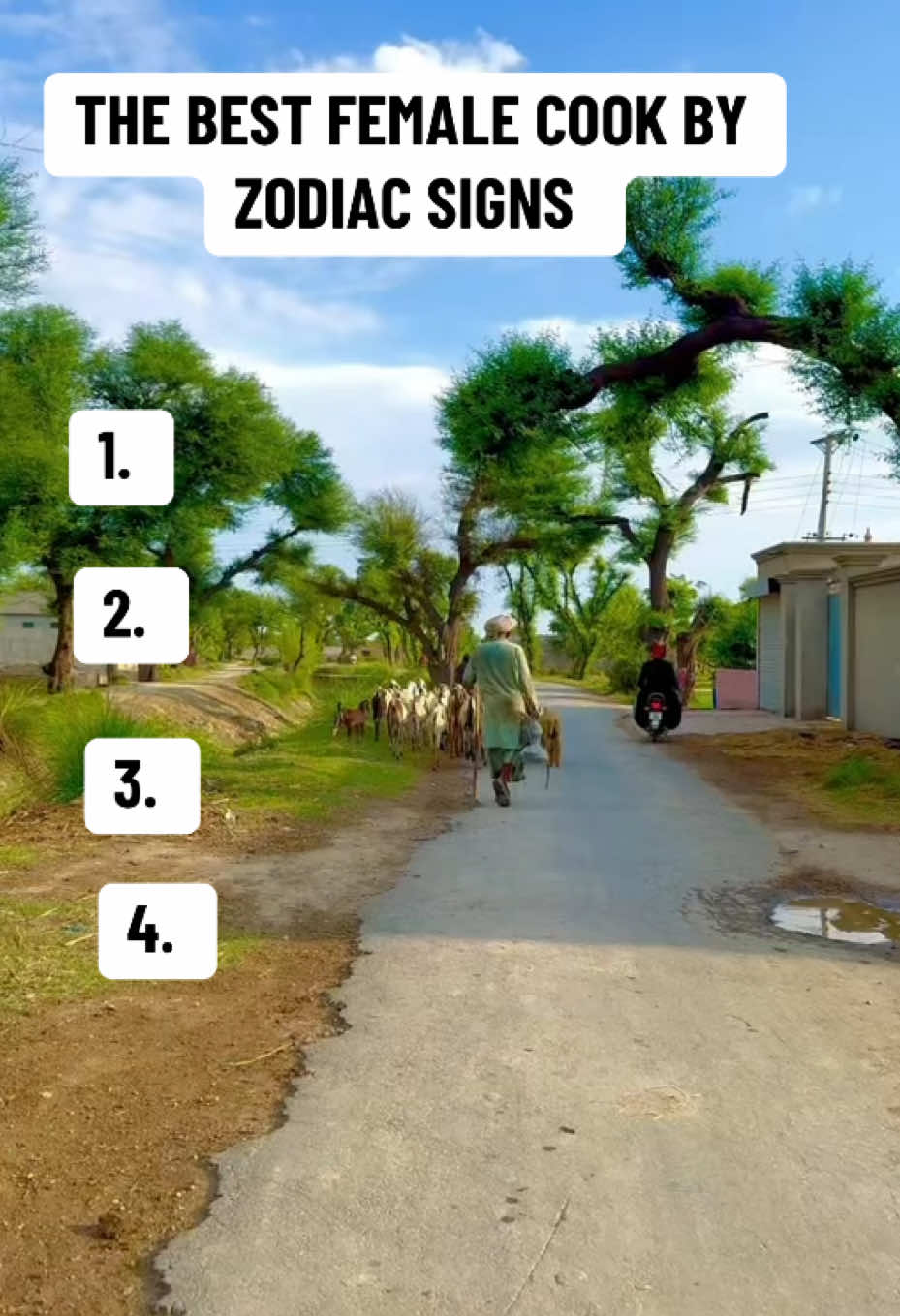 The best female cook according to zodiac sign. #cookingwithkya #cookingwithjai #cooking #zodiac #scorpio #astrology #astrology #zodiacsign #fyp #viral #ddg #foodtiktok 
