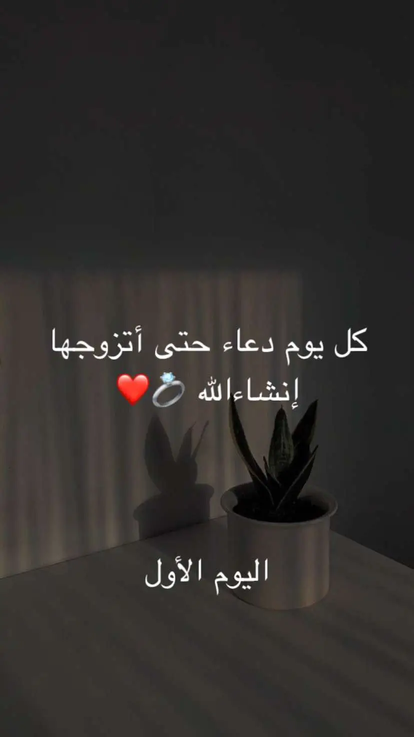 يارب #اجمعني_به_بحلالك #ربي_اجمع_كل_اثنين_يحبون_بعض_يارب🤲💍 
