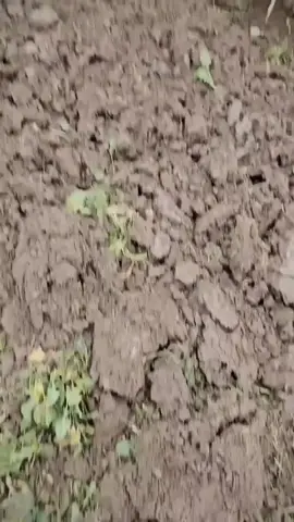 #فيات180 #😎 #تصميم_فيديوهات🎶🎤🎬 