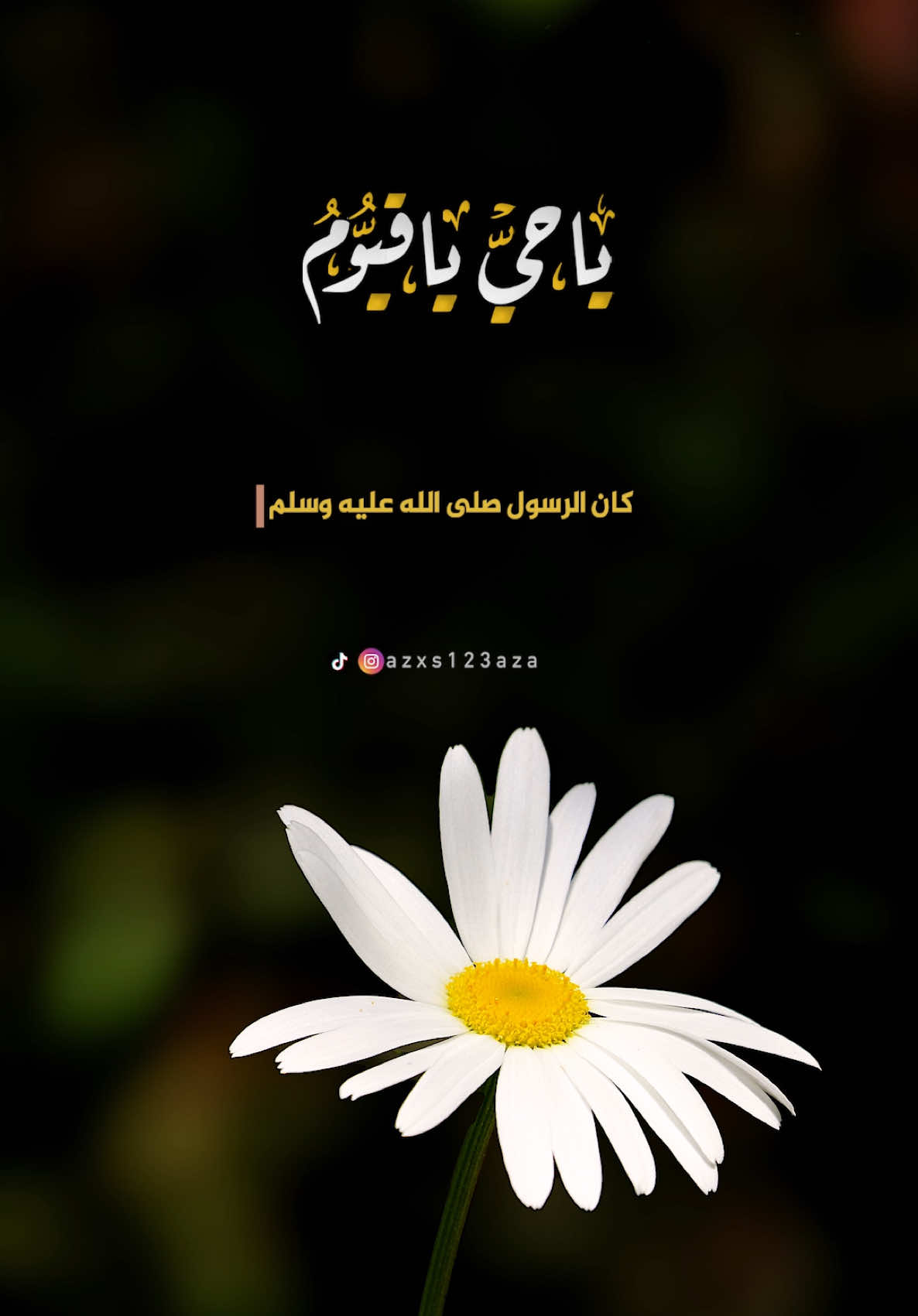 يا حي يا قيوم برحمتك أستغيث، أصلح لي شأني كله، ولا تكلني إلى نفسي طرفة عين . #ياحي_ياقيوم_برحمتك_استغيث #دعاء #اذكار #تصميم_فيديوهات🎶🎤🎬 