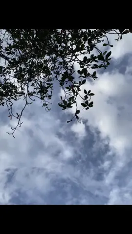 free to save #livephoto #fyp 