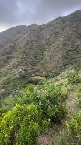 #سبحان_الله_وبحمده #سبحان_الله_العظيم #لا_اله_الا_الله #جبل_المعادي_بني_امشيخ #اكسبلور #تصويري #قران #اكسبلور #quran_alkarim #قران_كريم 