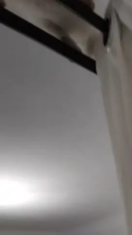 قط رهي مسورخى