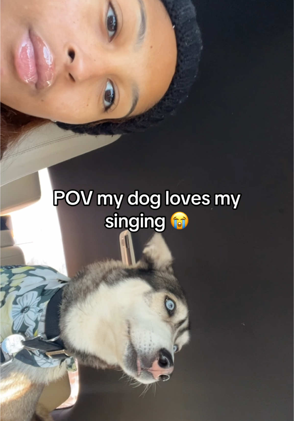 #fyp #siberianhusky #singing 