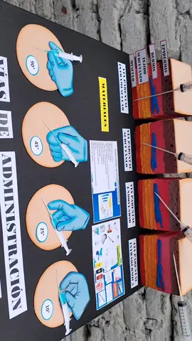 Vías de administración #enfermeria #ueb #viasdeadministración #maqueta 