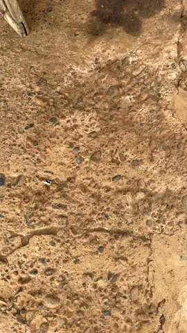 #doblaje #doblajequillero #paradondehabracojidoelperrito #sueñito #viral #parati #foryoupagе #meme #humor #barraquilla #xyzcba @Ruedas_por_colombia_trucks @Ganaderos del caqueta 