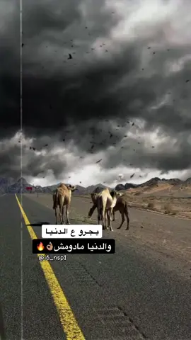 يـجـرو ع الـدنـيـا والدنيا مادومش👌🏽🔥#تصاميم_فيديوهات🎵🎤🎬 #عبارات #اطلق_عباره_له_تثبيت📌 #ليبيا🇱🇾 #الشعب_الصيني_ماله_حل😂😂 #explore #like #tik_tok #fyp #viralvideos 