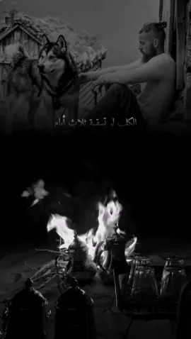الكلب لو تسقية ثلاث أيام #تصميم_فيديوهات #سايل #كسبلو_لايك_كومنت#قويه#قصيدة 