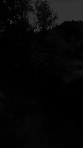 أمسك لسانك...خاصة في بيتك...كُلّكم راعٍ...وكُلّكم مسؤول عن رعيّته...!؟ أستغفر الله العظيم وأتوب إليه... اللّهمّ صلّ وسلّم على حبيبنا المُصطفى مُحمّد...