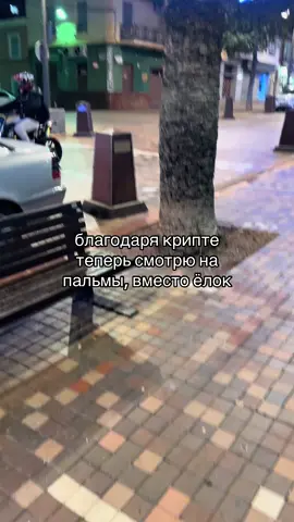 #крипта #пальмы 