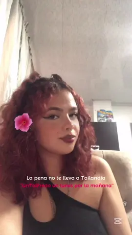 #CapCut #fyp #untalfredo #bootcamp #feliz #bootcampuntalfredo @Un Tal Fredo 