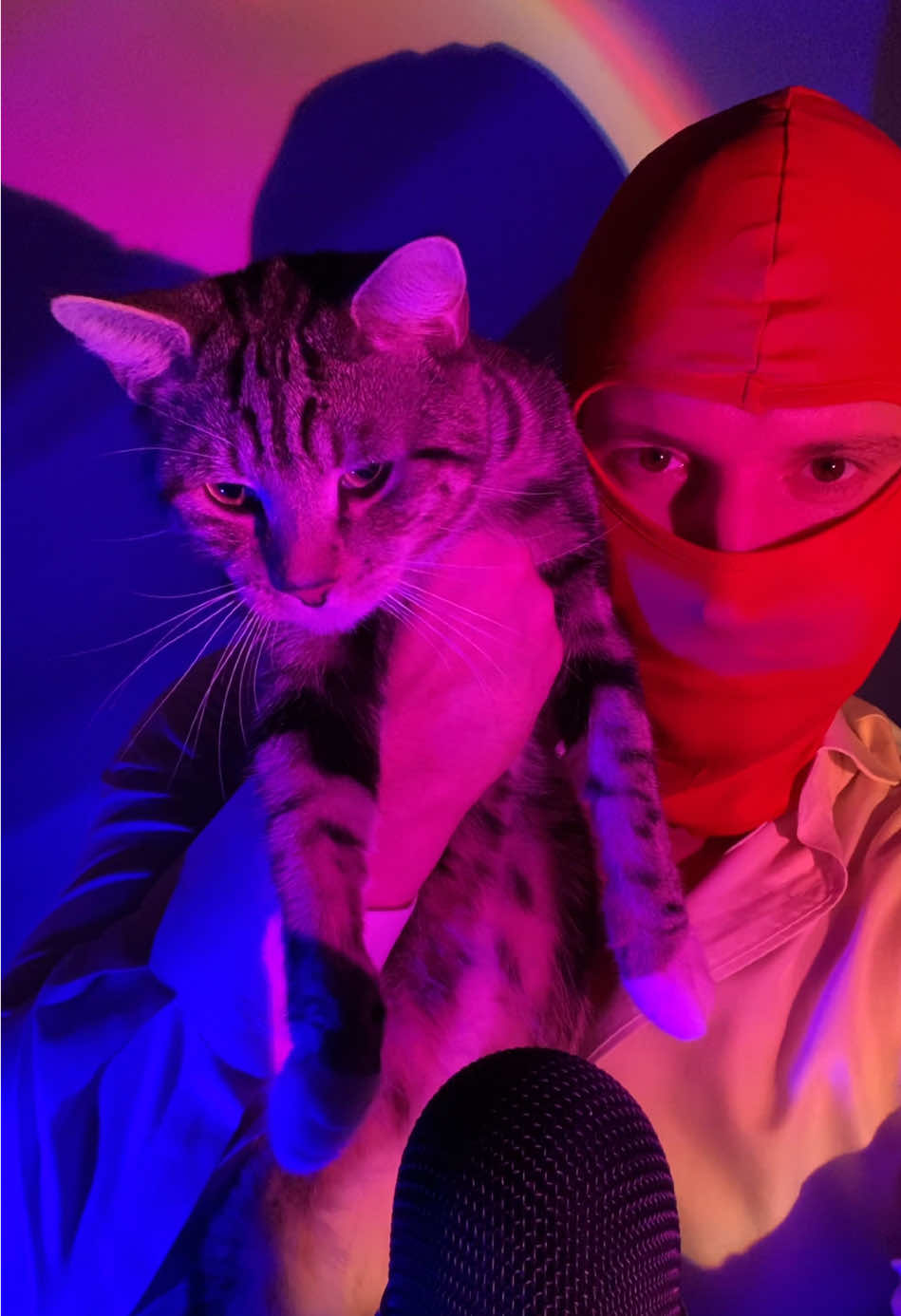Relaxing ASMR video with my Cat 😻 he wasn’t really having it 😹 but still cute video  #asmr #maskedasmr #catasmr #asmrvideo #asmrsounds #fyp #asmrcommunity #asmrtingles #catpurring #maskedman #asmrsound #maskedmen #asmrvideos #asmrrelax #soapasmr #asmrcrunch #eatingasmr #satisfyingasmr #asmreatingsounds #crunchyasmr #asmrtapping #masked #foodasmr #asmrchalk #asmrvids #asmrlove #StressRelief #asmrsponge #asmrcrunchy #asmrcutting #asmrslimesounds #asmrvid #spongeasmr #slimeasmrvideo #asmrtist #iceeatingasmr #classicasmr #maskedpeople #asmrtriggers #asmrwhispering 