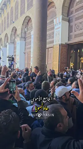 بني أمية أثبتوا وجودكم 🫶❤️ #دمشق #بغداد #الجامع_الاموي #سوريا #بني_امية #مغتربين #الرقة #ادلب #اكسبلور #حوران #درعا #اربد #حلب 