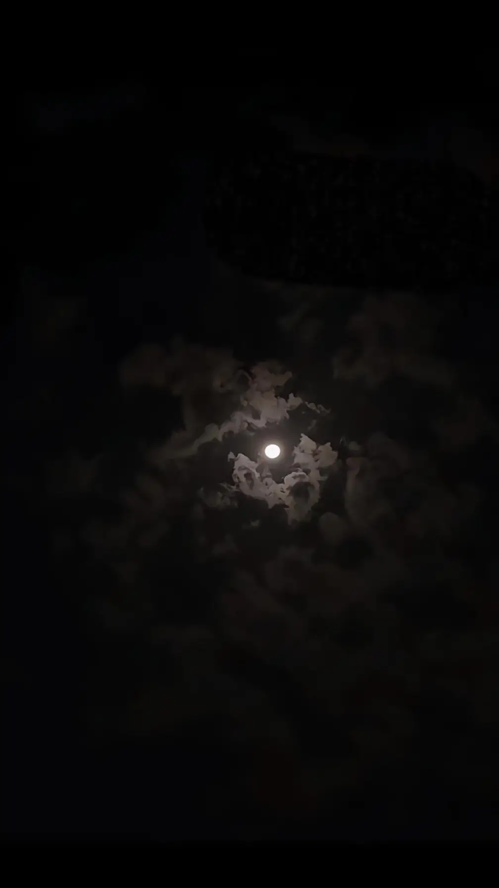 #الا_ياقمر_ذكرتني_واحدا_مغليه  #CapCut #اكسبلور 