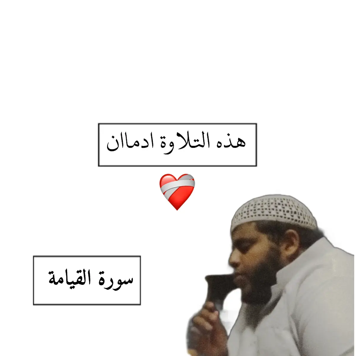 جزء|20 #سورة_القيامة #فلا_صدق_ولاصلى #quranvideo  #راحة_نفسية #استمعوا_بقلوبكم_الي_القرآن_الكريم❤️❤️  #islamic_video 