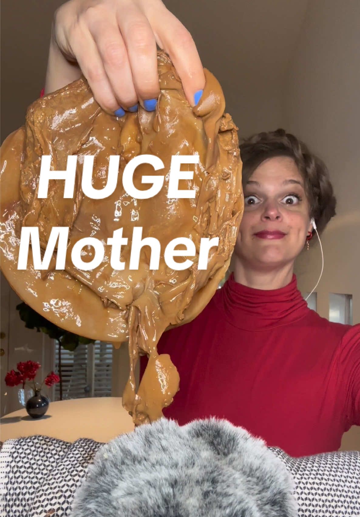 Replying to @ghostgirl2  We grow em’ big down here. @Melby ASMR  #oddlysatisfying #scoby #asmrvideo #asmr #asmrsounds #kombucha #asmrtiktoks 