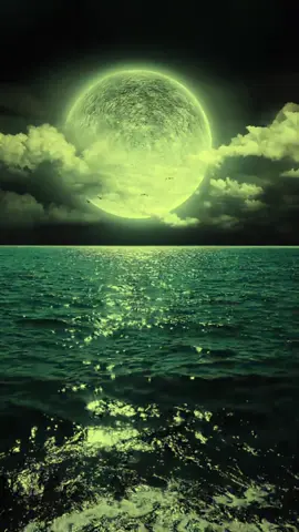 #دبي#السعودية #مصر_السعوديه_العراق_فلسطين #المغرب🇲🇦تونس🇹🇳الجزائر🇩🇿 #اليمن #تركيا #سوريا #لبنان #الكويت #اوربا #المانيا #هولندا #السعودية##nails #z #öneçıkar #asmr #relatable #q #movie 