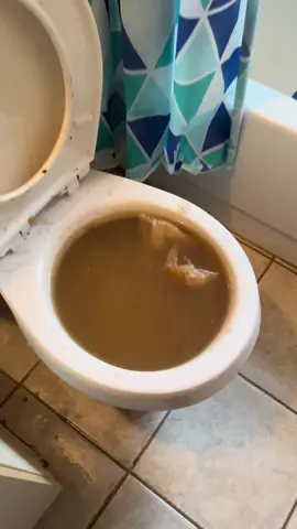 Mmmm 💩 soup.  @Milwaukee Tool m12 trapsnake 6’ toilet auger 2576-21 #plumber #fyp #plumbing #plumblife #DIY #toilet #💩 #gross #someonehastodoit #milwaukee #milwaukeetool #nothingbutheavyduty