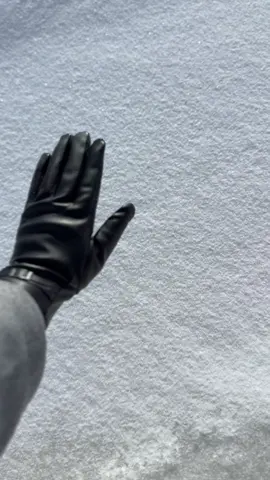 #foryou #fyp #yyc #explore #snow #ثلج #شتا 