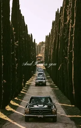 Everything but the girl- „missing“ #fy #fyp #foryoupage #rich #money #music #aesthetic #oldmoney #car #boat 