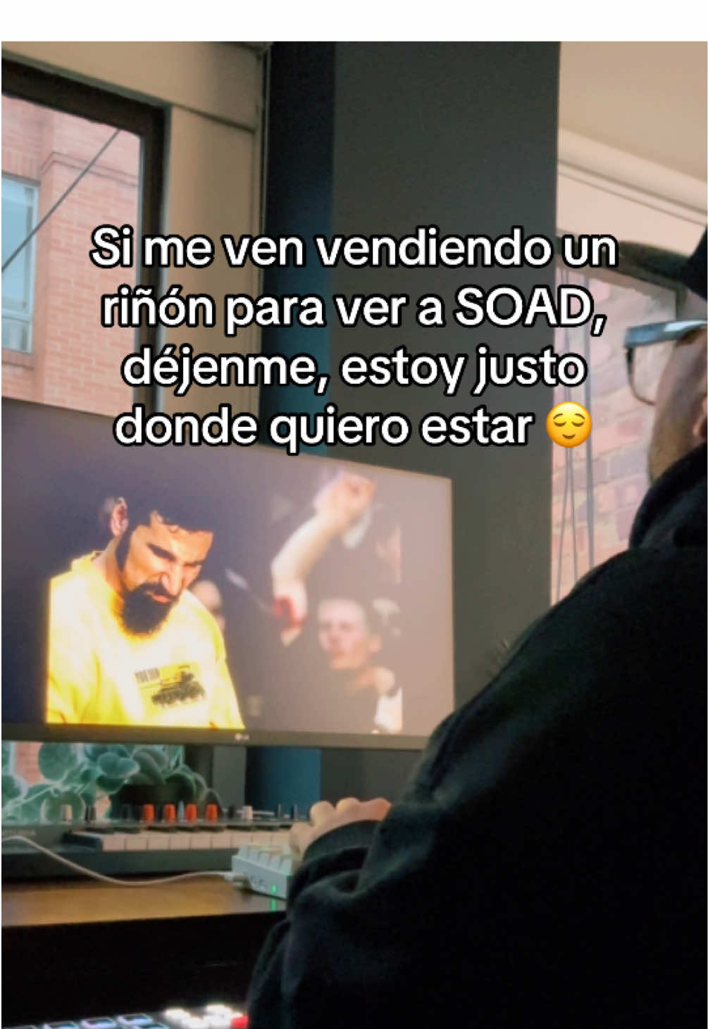 Wake up! #systemofadown #chopsuey #millenials #millenialsoftiktok #numetal #estoydondequieroestar #musician #guitarist #foryou #fyp 