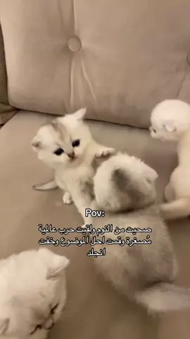 ماشاء الله  تبارك الله  + للبيع ❤️#fypシ゚ #explorepage #نقال_علوم #fyppppppppppppppppppppppp #pov 