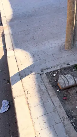 📍limachra yetnazaah ✌🏼#berkane #oujda #berkane_49🍊🍊🍊🍊🍊🍊🍊🍊 #nador #garsif #ahfir #madagh #aklim #saidia #bnidrar❤️ #taza #guercif #taourirt #melilla #tanger #fnideq #jeradacity52❤️😍 #البال 