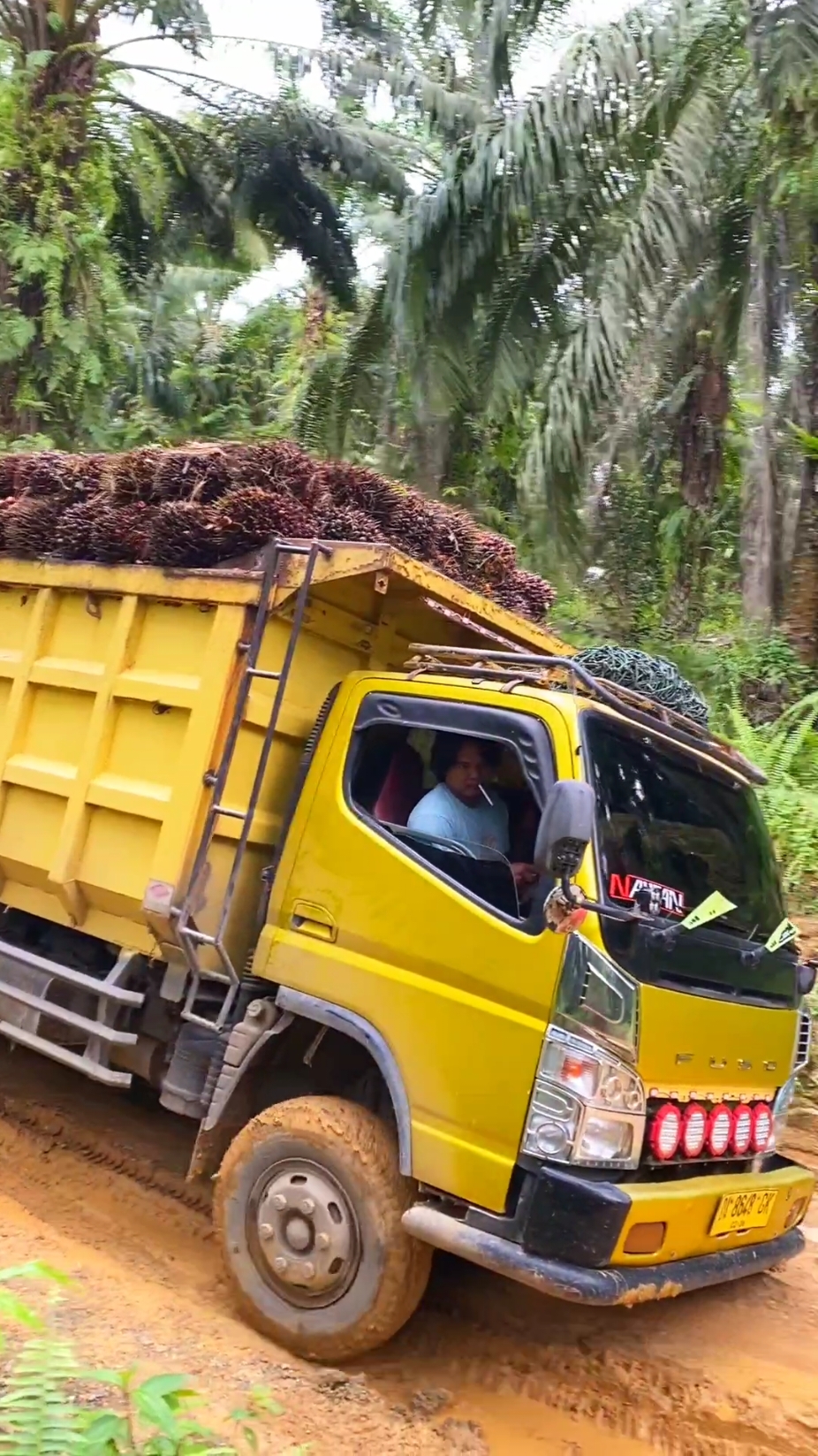 truk oleng muatan sawit #viralvideo #fyp #mrpien 