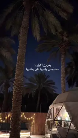 #كشتات_بنات #ليالي_الشتاء #منتجعات #البلورة #اماكن_الرياض #موسم_الرياض #اكسبلور 