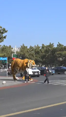 big lion seen on roads 😳 